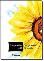 Livro - Um girassol na janela - moderna Livro - Um girassol na janela - moderna
