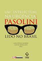 Livro - Um intelectual na urgência Livro - Um intelectual na urgência