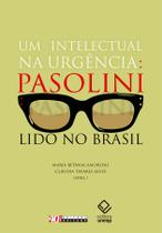 Livro - Um intelectual na urgência Livro - Um intelectual na urgência
