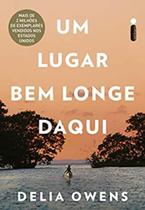 Livro - um lugar bem longe daqui