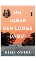 Livro - Um lugar bem longe daqui Livro - Um lugar bem longe daqui