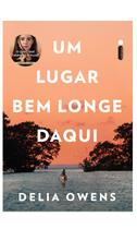 Livro - Um lugar bem longe daqui