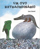 Livro - Um ovo extraordinário