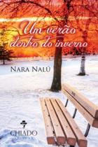 Livro - Um verão dentro do inverno Livro - Um verão dentro do inverno