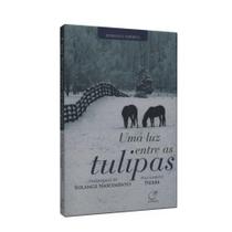Livro - Uma luz entre as tulipas