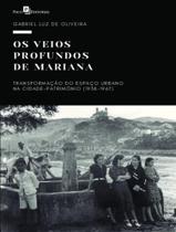 Livro - Veios Profundos De Mariana