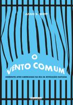 Livro - Vento comum, O