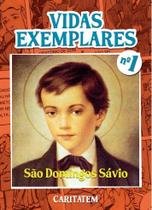 Livro - Vidas Exemplares - São Domingos de Sávio