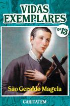 Livro - Vidas Exemplares - São Geraldo Magela