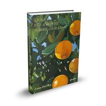 Livro - Violet faz a ponte sobre a grama