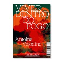 Livro - Viver dentro do fogo Livro - Viver dentro do fogo