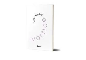 Livro - Vórtice Livro - Vórtice