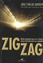 Livro Zig Zag - Relume Dumara