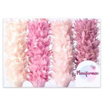 Liz C/50 Tons Mono Rs Velh Cl/Nude/Rs Seco/Rs Cha