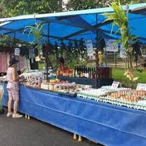 Lona Barraca De Feira Azul Impermeável PROLONA 6X5 M