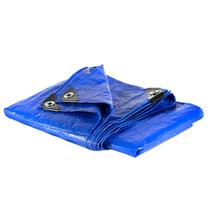 Lona Carreteiro 100 Micras Leve 6x7 Azul APM7020020 REXON