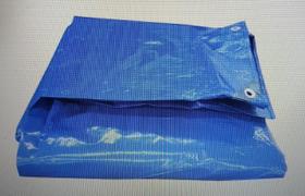 Lona Carreteiro Caminhão, Festa, Piscina 10x8 Azul Brasfort