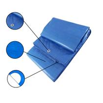 Lona Cobertura De Telhado Impermeável Azul 3x2m 300 Micras