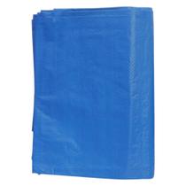 Lona P/ Carreteiro Polietileno 2x2M Berg Ferramentas Lona P/ Carreteiro Polietileno 2x2M Berg Ferramentas