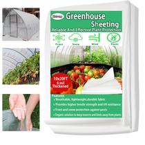 Lona para estufa Xstronq 3 x 6 m, 6 mil, resistente a UV Lona para estufa Xstronq 3 x 6 m, 6 mil, resistente a UV
