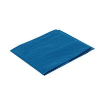 Lona Plástica para Pintura 5x4m Azul Plasitap