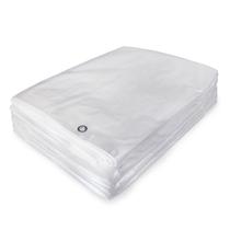 Lona Transparente Cobertura Telhado Festa Translúcida 5x3 Metros Lona Transparente Cobertura Telhado Festa Translúcida 5x3 Metros