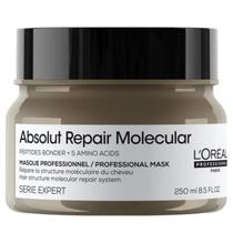 Loreal Professionnel Máscara Absolut Repair Molecular 250g Loreal Professionnel Máscara Absolut Repair Molecular 250g