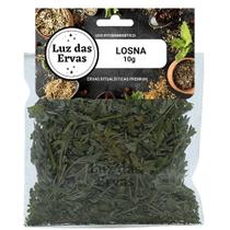 Losna 10g Banho de Ervas (Clareza Intuitiva e Jornada de Autoconhecimento)