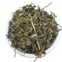 Losna 1Kg (Artemisia absinthium) - Top Life