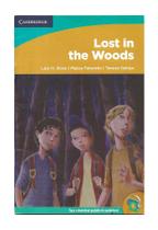 Lost In The Woods - Luiz H. Rose, Maiza Fatureto