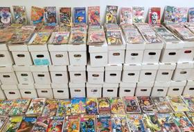 Lote de quadrinhos P and P Comics com 10 revistas em quadrinhos vintage da Marvel/DC