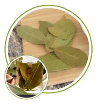 Louro Turco 250g - suzanflora