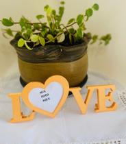 Love palavra letreiro decoração casa sala quarto rack plástico