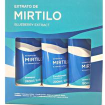 Lowell Mirtilo Extrato Oleosidade raiz pontas secas kit 03un