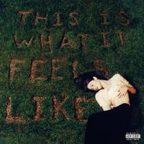 LP Álbum This Is What It Feels Like