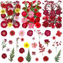 LUCISKY, 75 peças de flores vermelhas secas, pétalas de folhas prensadas naturais reais para bricolage, resina, velas, joias e artesanato com pingentes de unhas LUCISKY, 75 peças de flores vermelhas secas, pétalas de folhas prensadas naturais reais para bricolage, resina, velas, joias e artesanato com pingentes de unhas