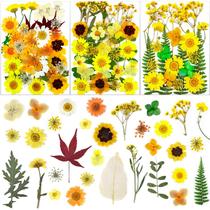 LUCISKY, 93 peças de flores amarelas secas prensadas, pétalas de folhas naturais reais para bricolage, resina, velas, joias, artesanato em unhas LUCISKY, 93 peças de flores amarelas secas prensadas, pétalas de folhas naturais reais para bricolage, resina, velas, joias, artesanato em unhas