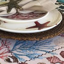 Lugar Americano Conchas, Corais Verso Liso Mesa Da Clau-Un