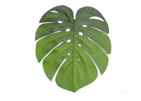 LUGAR AMERICANO DE EVA GARDEN LEAF 45x38cm