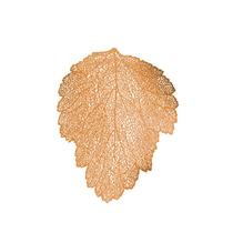 Lugar Americano Folha de Pvc Rose Gold 48 x 36cm Bon Gourmet Lugar Americano Folha de Pvc Rose Gold 48 x 36cm Bon Gourmet