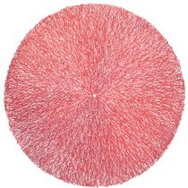 Lugar Americano Redondo Sousplat Ninho Cores Mesa Sala Jantar