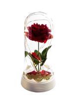 Luminária A Rosa Encantada Com Tribais Dourados Perola