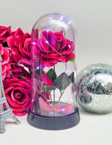 Luminária A Rosa Encantada E Cordão De LED Frio Base Preto Presente para namorada Redoma Cúpula