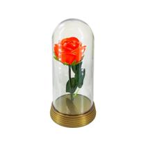Luminária A Rosa Encantada Iluminada Presente Para Namorada