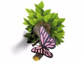 Luminária Borboleta Butterfly Night Light 3D Decoração