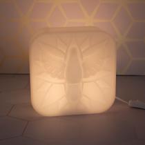 Luminária com Controle Remoto Espiríto Santo Box