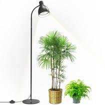 Luminária de chão Grow Light Bstrip 25W LED 5000K Full Spectrum Luminária de chão Grow Light Bstrip 25W LED 5000K Full Spectrum