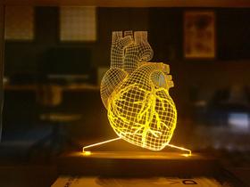 Luminária de mesa coração humano - Fablaser