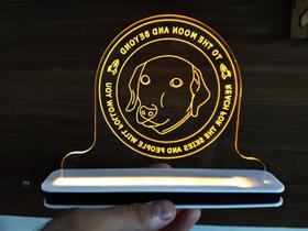 Luminária Decorativa com LED Criptomoeda Brasileira Reau - Hobbies do Ofício