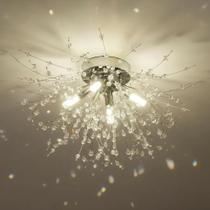 Luminária Dente de Leão, Cristal, 12w, Luz Neutra, Bivolt, LexLight